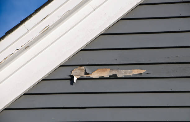 Best Siding Painting and Refinishing  in Green Knoll, NJ